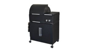 Bbq 31