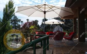 مبلمان ویلایی بامبو