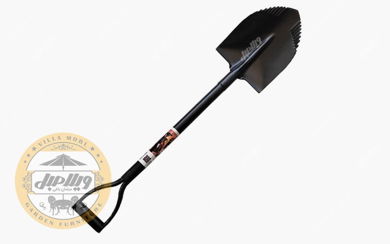 بیل آفرودی ریشه زن کوچک