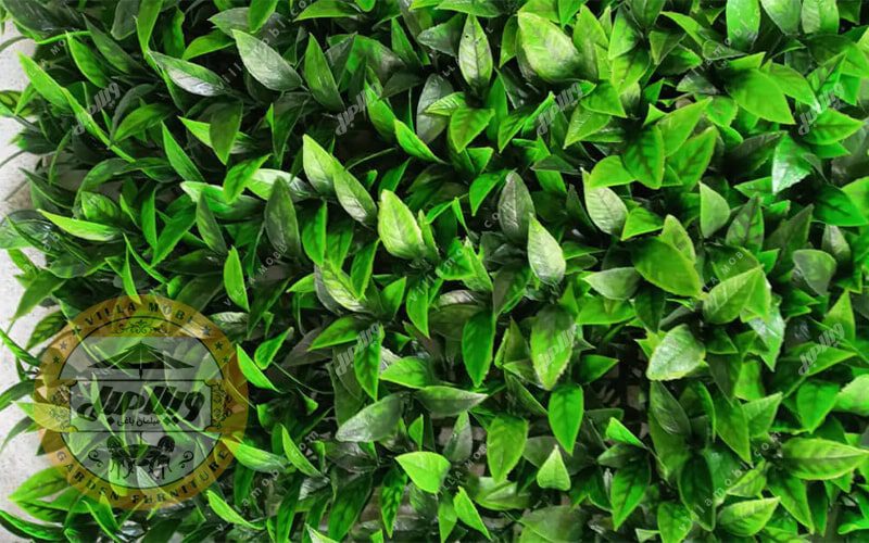 گرین وال و دیواره سبز مدل برگ فلفلی ساده