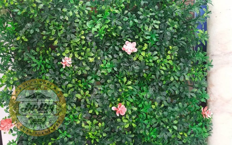 گرین وال و دیواره سبز مدل نارون ژاپنی