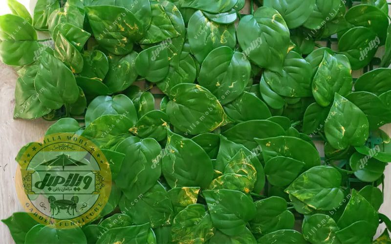 دیواره سبز مدل پتوس زرد