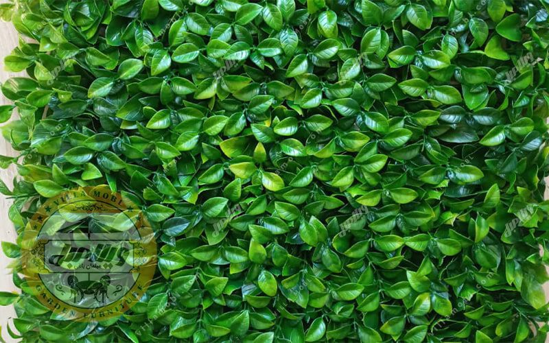 گرین وال و دیواره سبز مدل پرتغالی ابلق