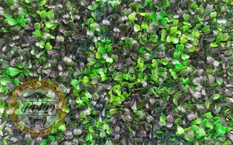 گرین وال و دیواره سبز مدل شبدری ابلق