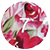 طرح 7